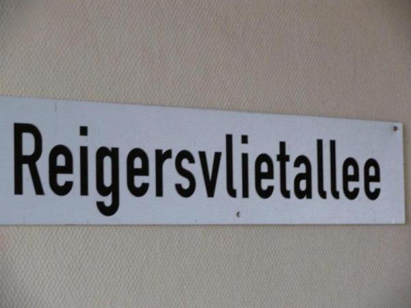 P1080512.jpg